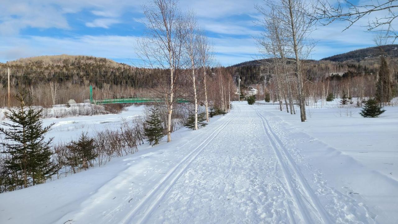 Condo-Chalet De La Vallee D'Edouard LʼAnse-Saint-Jean Dış mekan fotoğraf