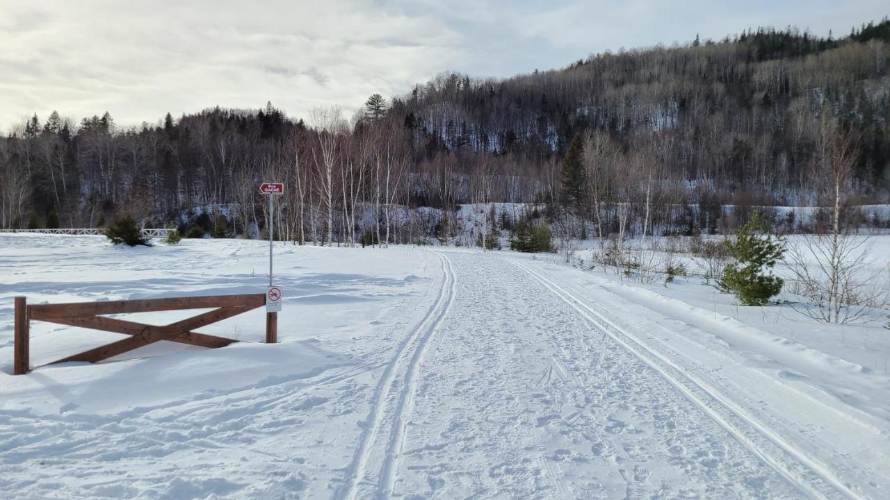 Condo-Chalet De La Vallee D'Edouard LʼAnse-Saint-Jean Dış mekan fotoğraf