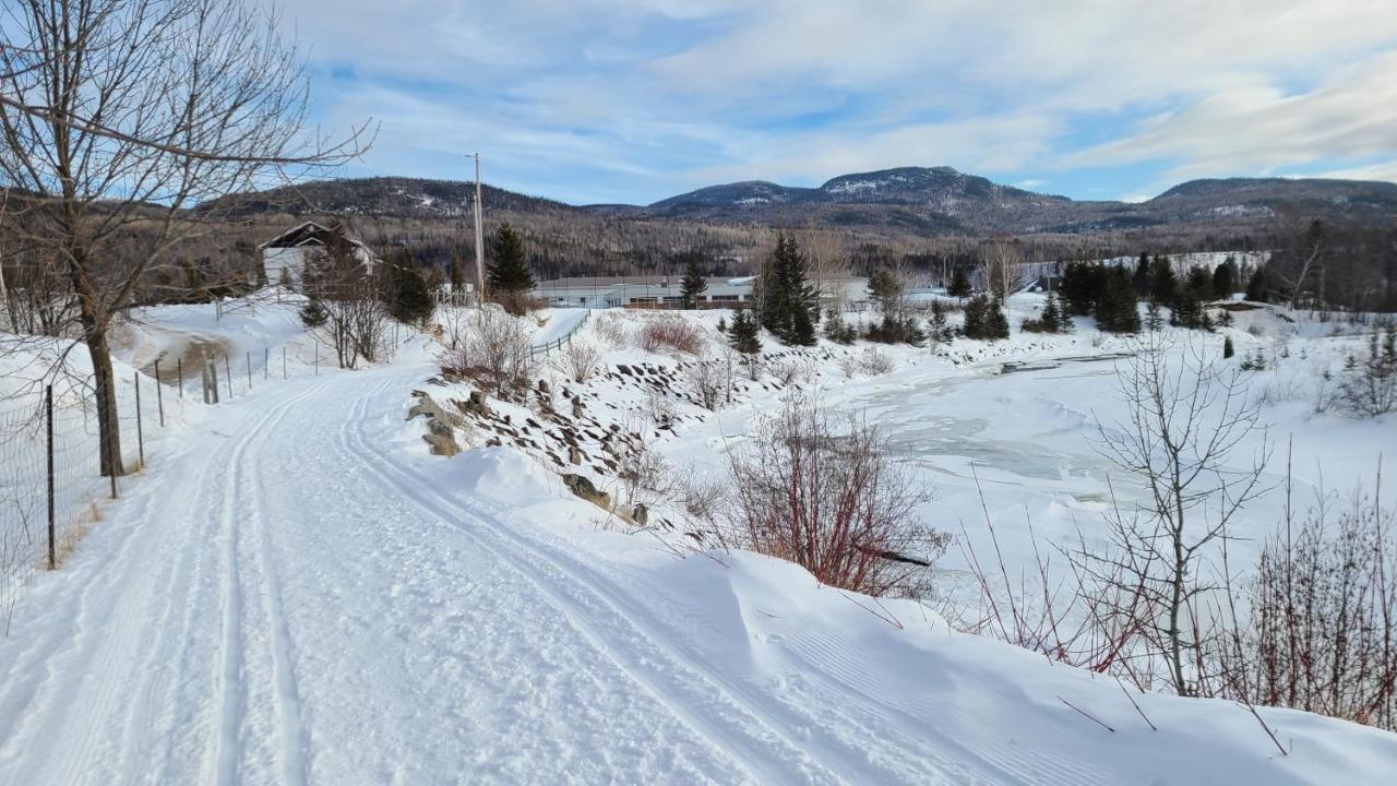 Condo-Chalet De La Vallee D'Edouard LʼAnse-Saint-Jean Dış mekan fotoğraf