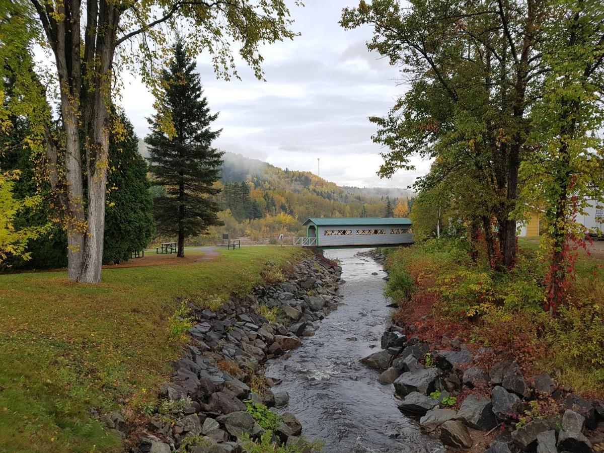 Condo-Chalet De La Vallee D'Edouard LʼAnse-Saint-Jean Dış mekan fotoğraf